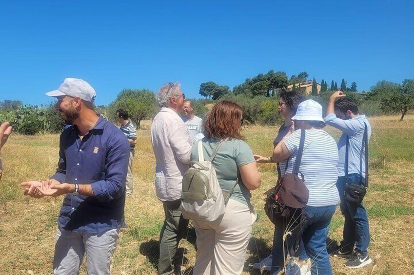 Skip-the-line Valley of Temples - Agrigento Private Guided Tour