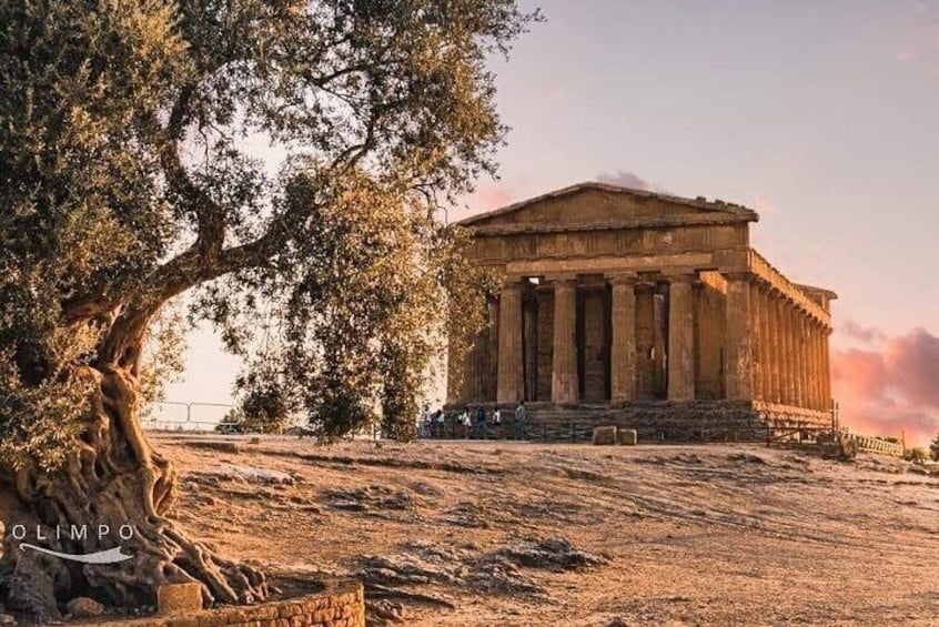 Skip-the-line Valley of Temples - Agrigento Private Guided Tour