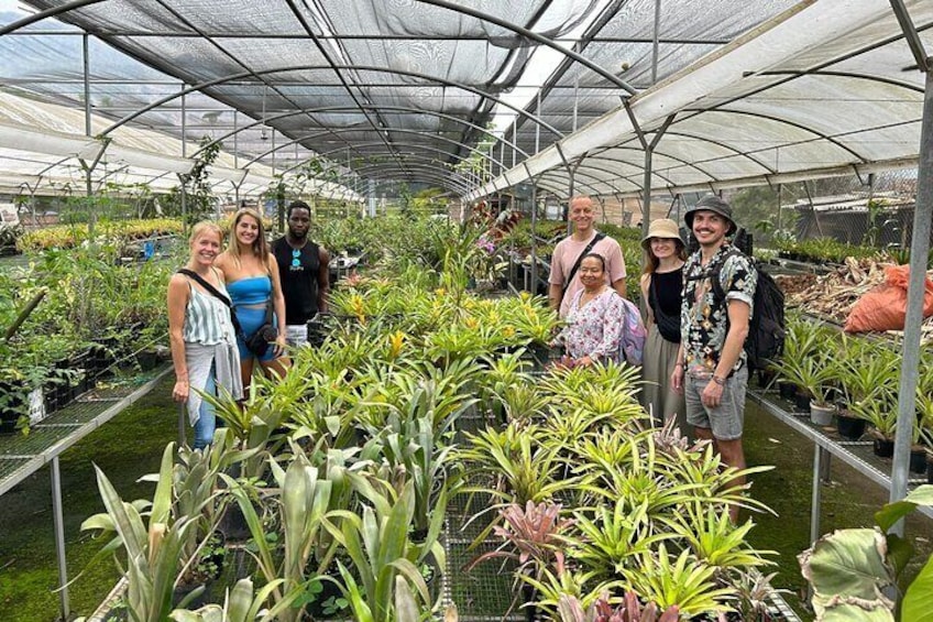 Greenhouse built by the community leaders