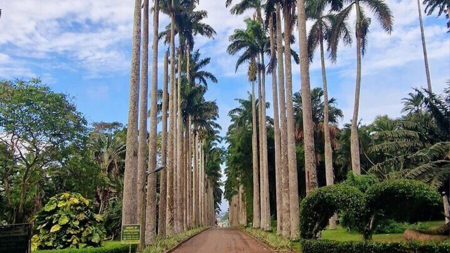 Aburi Botanic Gardens