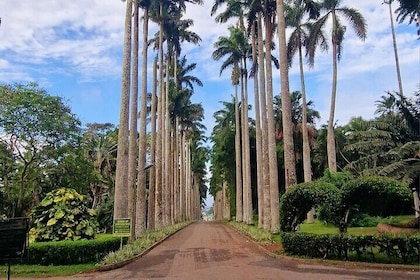 Aburi Botanic Gardens, Boti Falls,Umbrella Rock & Cocoa Farm Tour