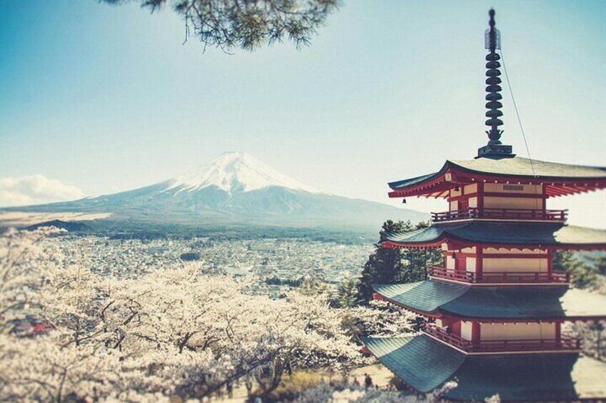 Hakone and Mount Fuji Tour