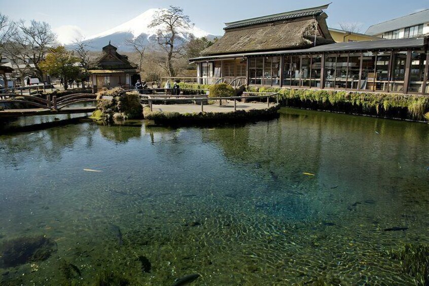 Hakone and Mount Fuji Tour