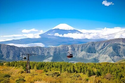 Private Tour to Mount Fuji & Hakone with English Speaking Guide