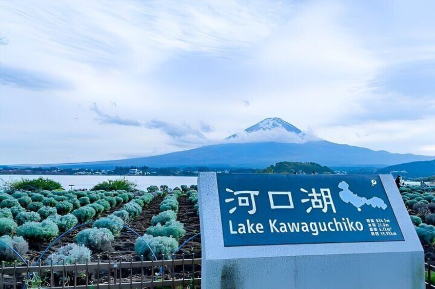 Mount FUJI and Gotemba Outlets day trip 