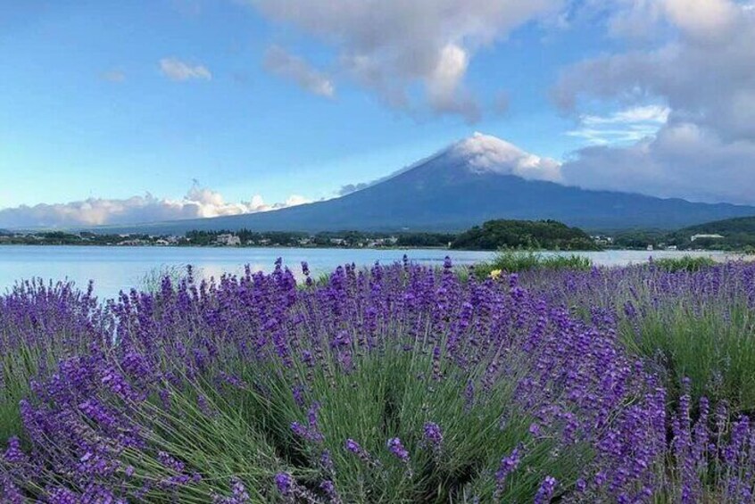 Mount FUJI and Gotemba Outlets day trip 