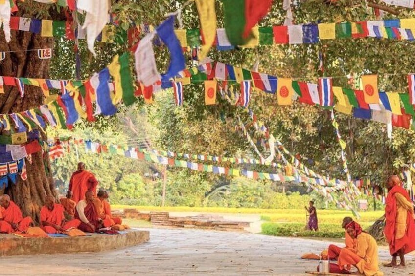 Full Day Lumbini Tour with Airport Pickup