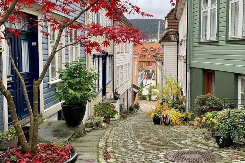 Private Tour of Bergen City by Car