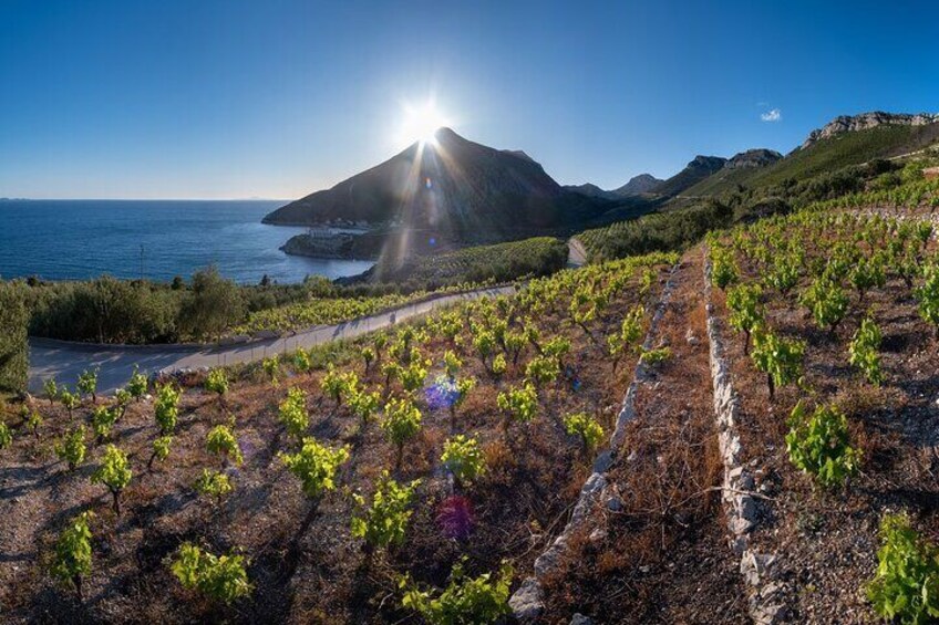 Private Korčula & Ston: Island Charms, Pelješac Delights & Wine