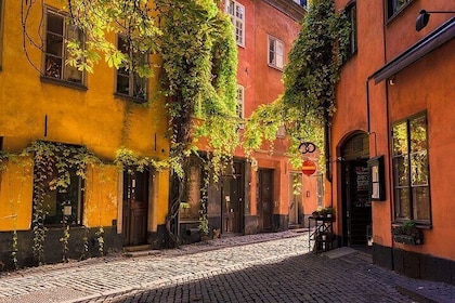 Classic Stockholm Small Group Walking Tour