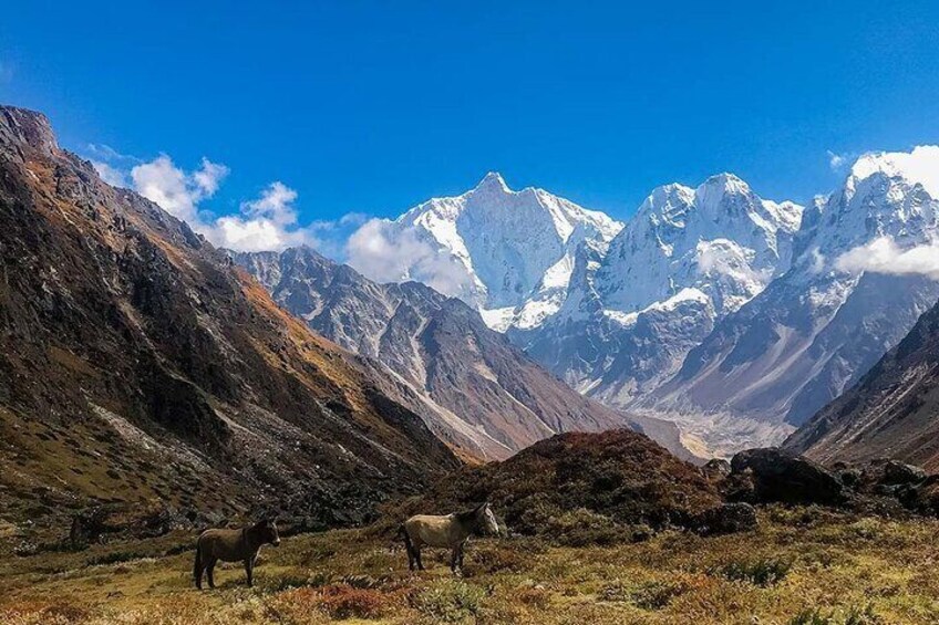 Kanchenjunga Circuit Trek from Kathmandu 23 Days