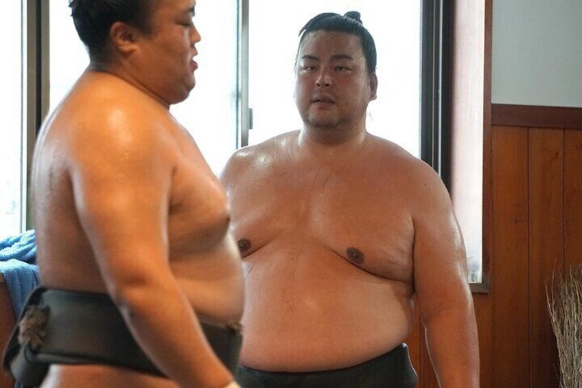 Dedicated Sumo wrestler