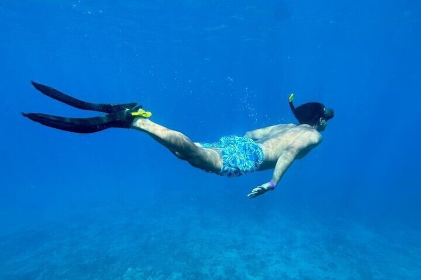 Private Snorkel with Beach Set-Up