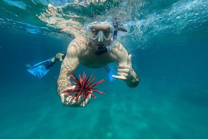 Beach Morning with Private Snorkel in Hawaii