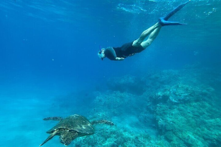 Beach Morning with Private Snorkel in Hawaii