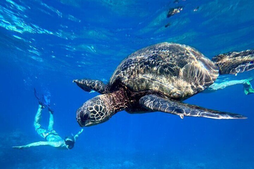 Private Snorkel with Beach Set-Up