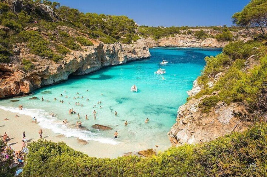 Boat tour Cala Figuera, Es Pontas, Caló de Moro, Cala Marmols