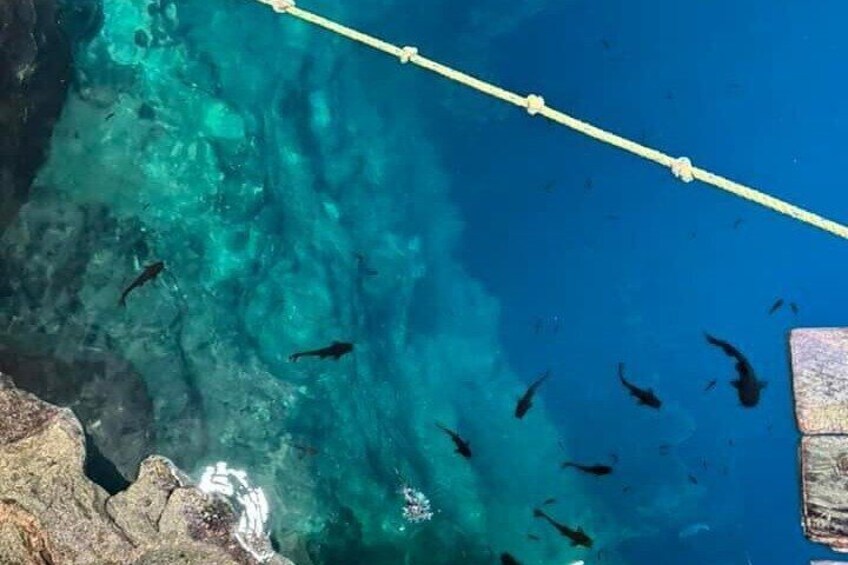 cenote Actun