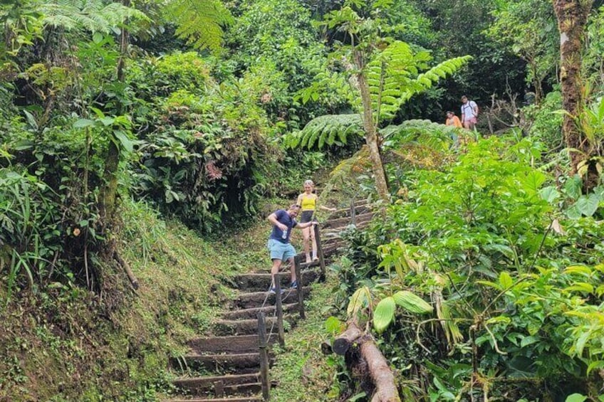 Private Tour in Rio Celeste National Park & Sloth Safari