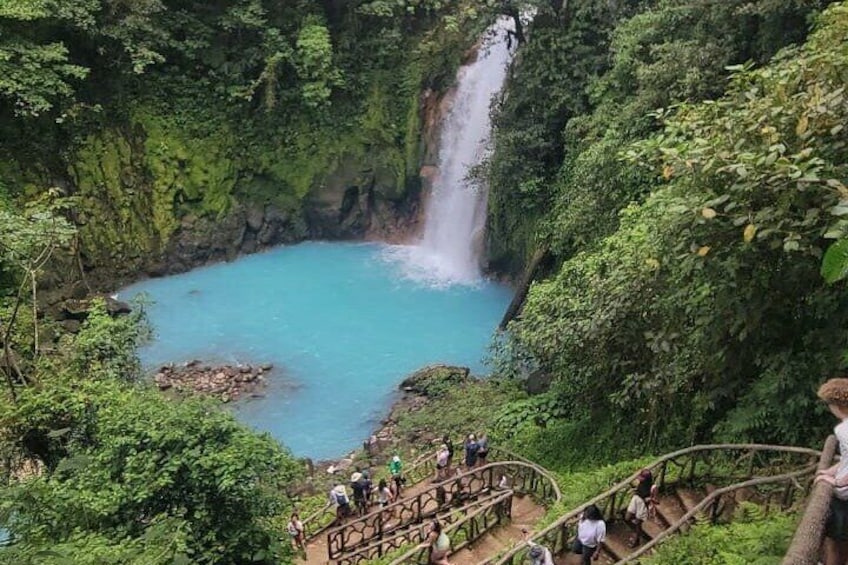 Private Tour in Rio Celeste National Park & Sloth Safari