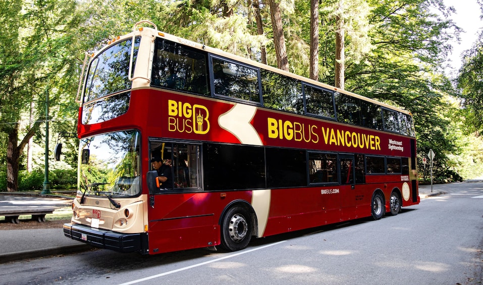 Evening Discovery of Vancouver & Stanley Park