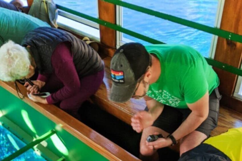 Glass Bottom Boat Water Activity in Montego Bay Jamaica