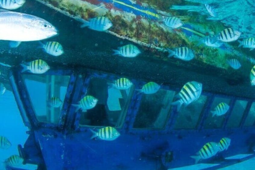 Glass Bottom Boat Water Activity in Montego Bay Jamaica