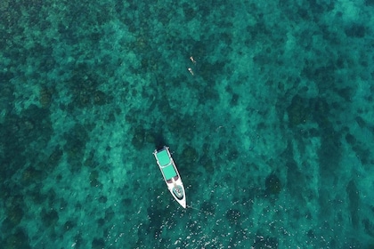Från Phuket: Phi Phi Island Privat heldagsutflykt med motorbåt