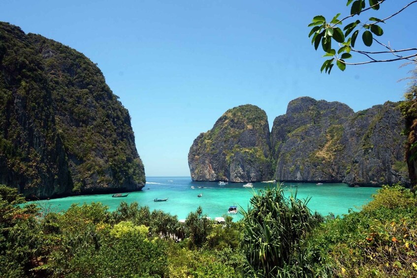 Picture 6 for Activity From Phuket: Phi Phi Island Private Full-Day Speedboat Trip