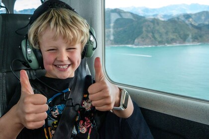 Whale Watching by Plane | Family Package