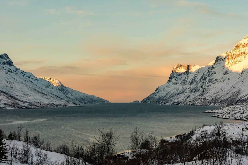 Picture 2 for Activity Private Arctic tour around the iconic fjords of Tromsø