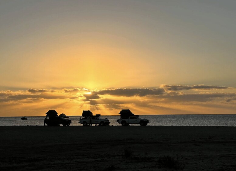 Los Cabos: Immersive 3-Day Desert Adventure