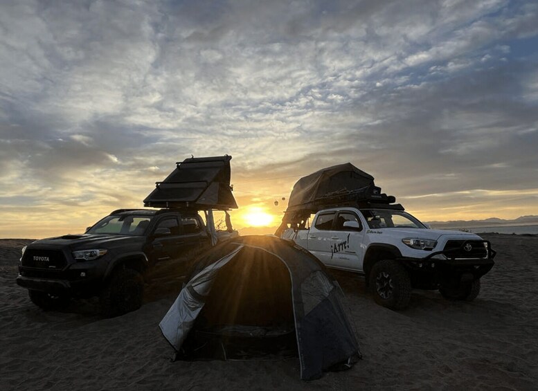 Picture 4 for Activity Los Cabos: Immersive 3-Day Desert Adventure