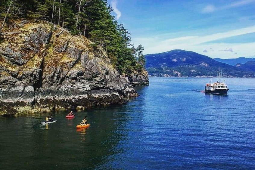 Vancouver: Morning Kayak & Seal Cruise
