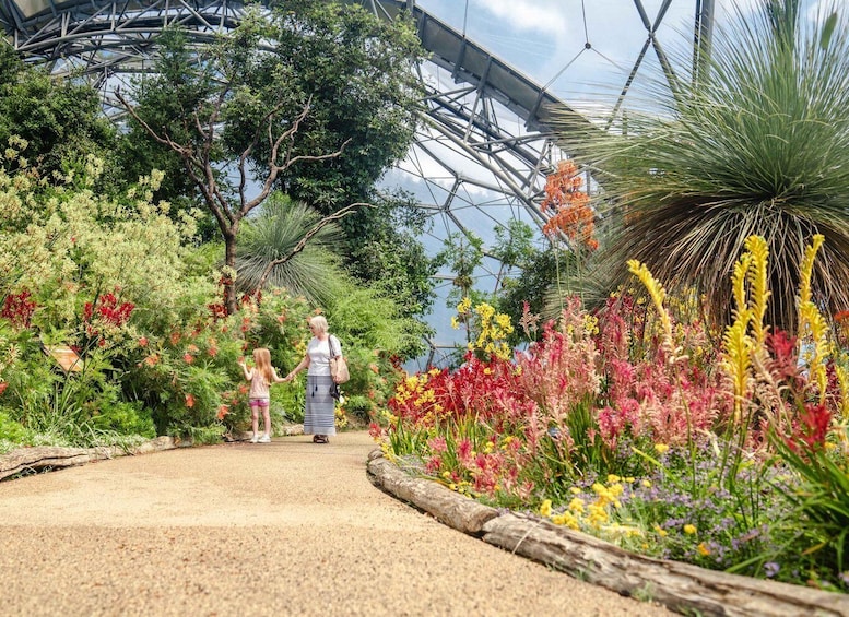 Picture 11 for Activity Cornwall: Eden Project Entry Ticket