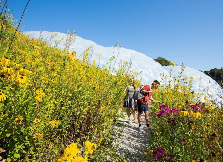 Picture 4 for Activity Cornwall: Eden Project Entry Ticket