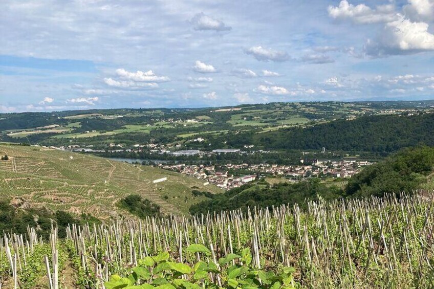 Northern Rhône Valley