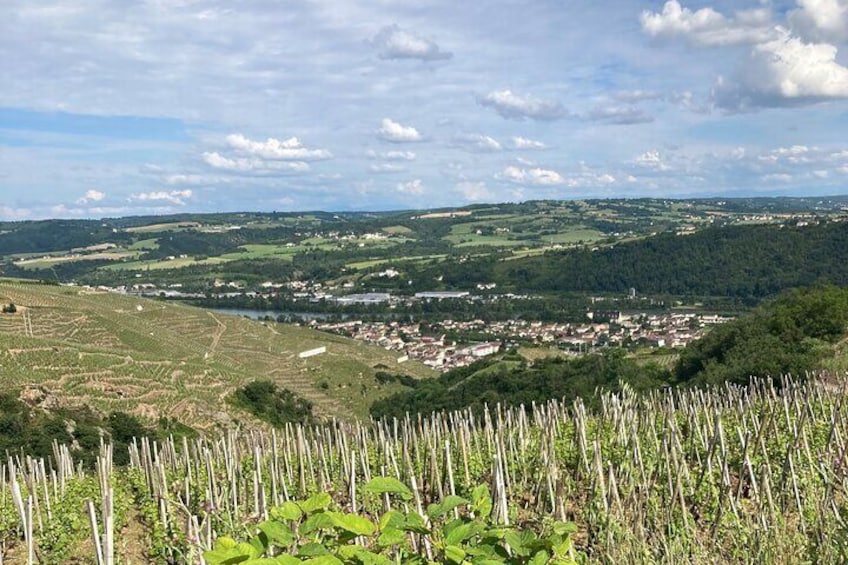 Northern Rhône Valley