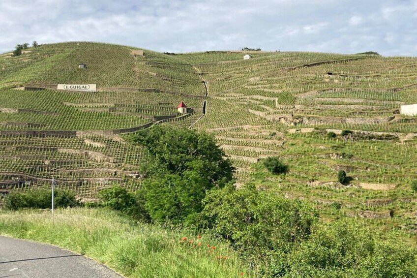 Côte-Rôtie hillsides