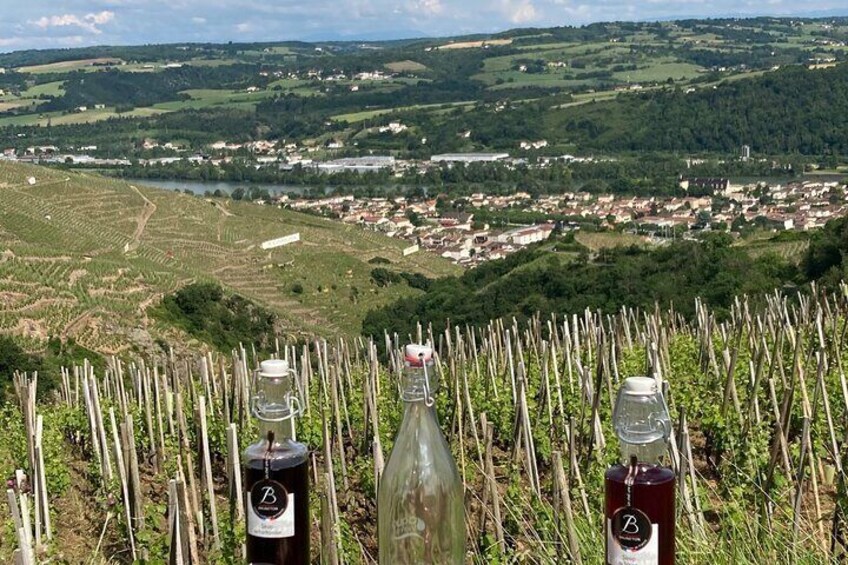 Ampuis Valley