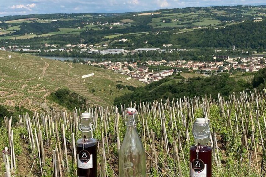 Ampuis Valley