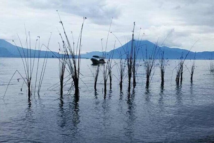 Private Interactive Planting Tour on Lake Atitlan