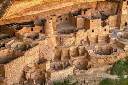Mesa Verde National Park Half Day Tour