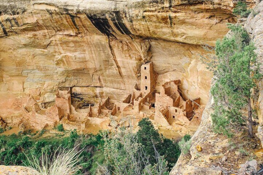Mesa Verde National Park 1/2 Day Tour