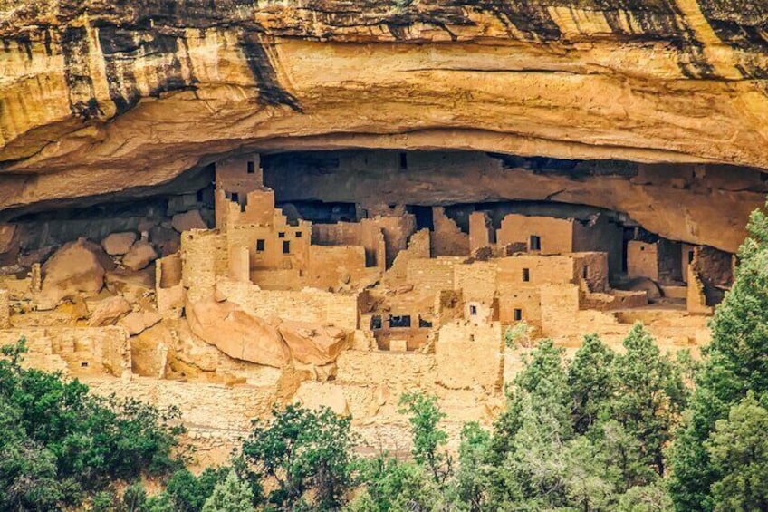 Mesa Verde National Park 1/2 Day Tour