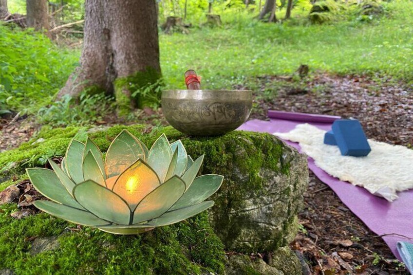 Guided meditations in the property's own forest