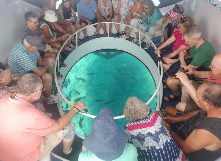 Picture 6 for Activity George Town: Historical Shipwrecks Glass-Bottom Boat Tour