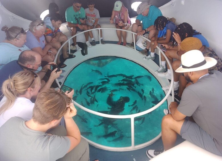 Picture 4 for Activity George Town: Historical Shipwrecks Glass-Bottom Boat Tour