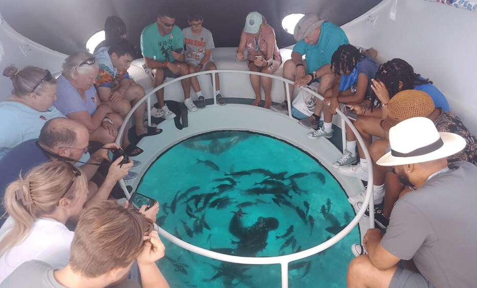 Picture 3 for Activity George Town: Historical Shipwrecks Glass-Bottom Boat Tour