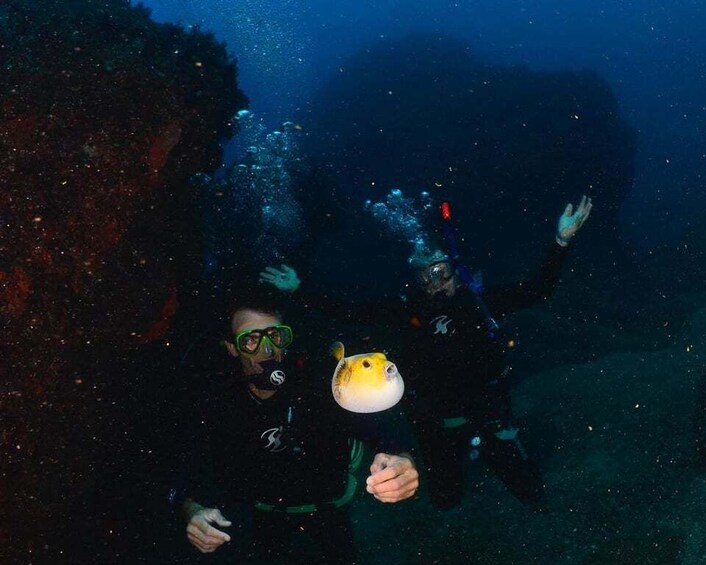 Picture 2 for Activity Zihuatanejo: Moonlit Dive at Las Gatas